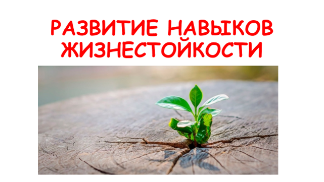 ТЫ МОЖЕШЬ БОЛЬШЕ, ЧЕМ ДУМАЕШЬ.